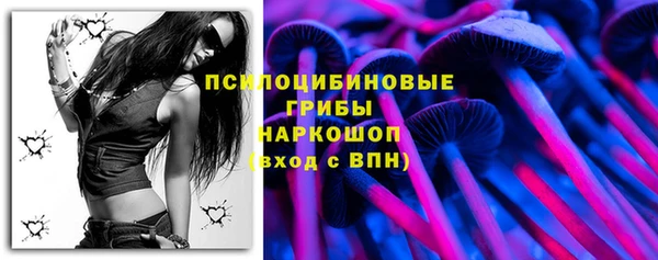 прущие грибы Абинск
