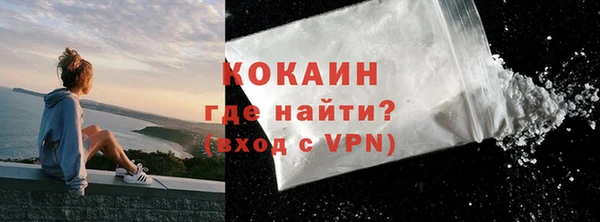 прущие грибы Абинск