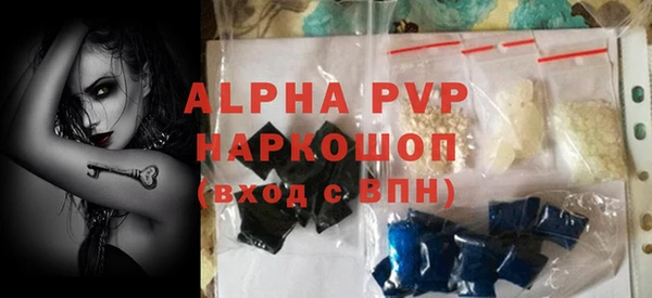 прущие грибы Абинск