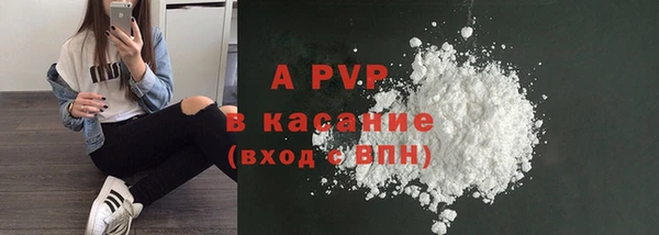 прущие грибы Абинск