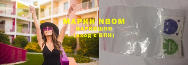 прущие грибы Абинск