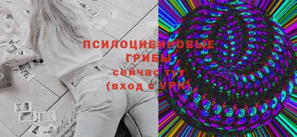 прущие грибы Абинск