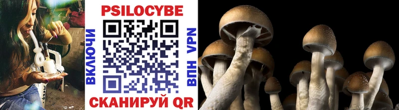 Галлюциногенные грибы Cubensis закладки Камызяк
